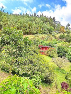 Tesorito House en las Montañas del Quindío